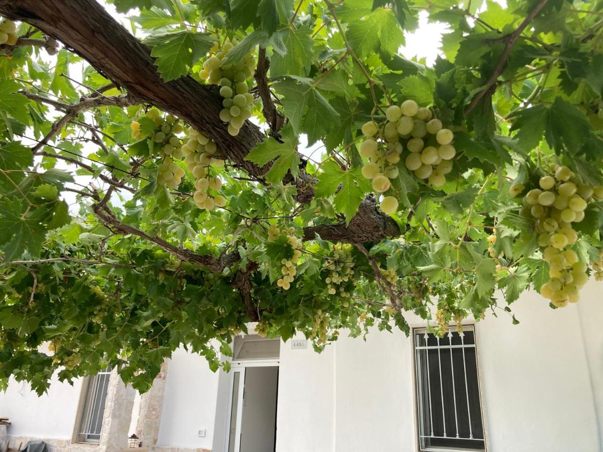 Il Casale Di Brunella Monopoli Exteriér fotografie